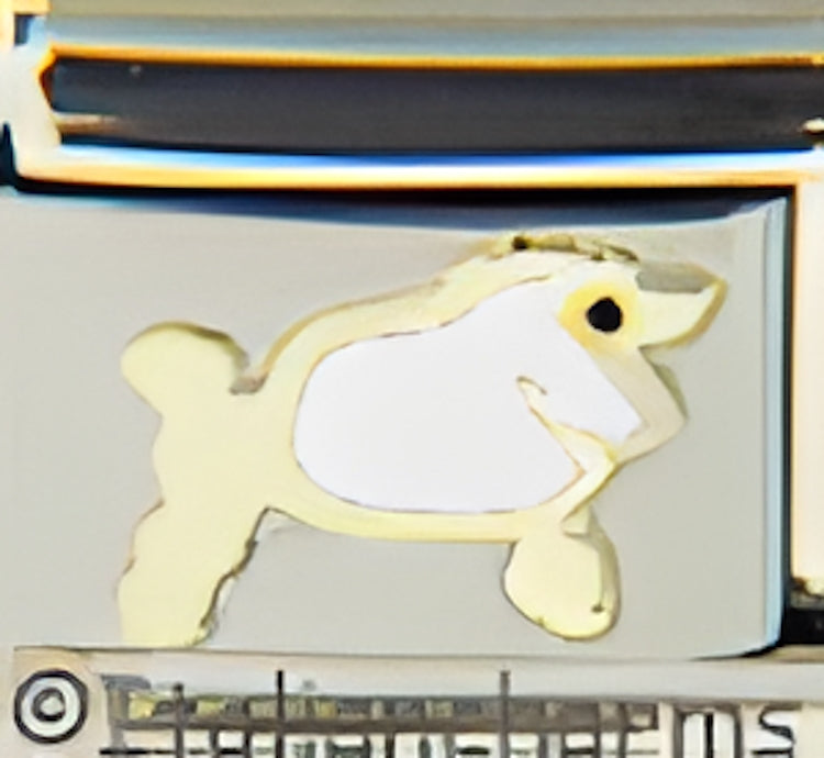 Plump White Poodle