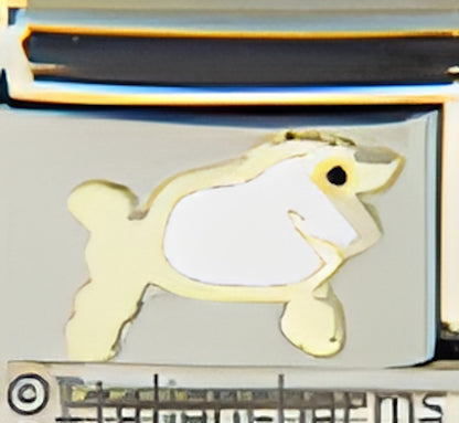 Plump White Poodle
