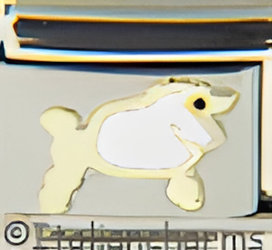 Plump White Poodle