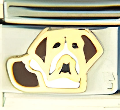 St. Bernard