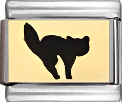 Spooky Cat