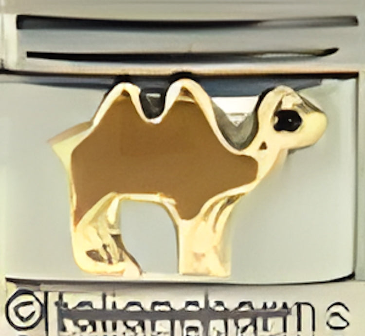Double Hump Camel