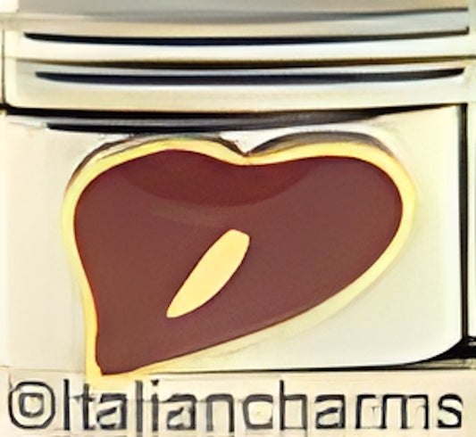 Anthurium Non-Italian