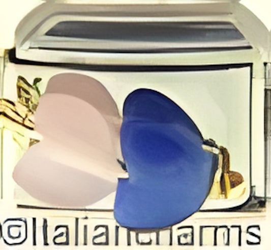 Evolution Pink and Blue Heart Beads