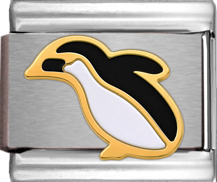 Cute Penguin