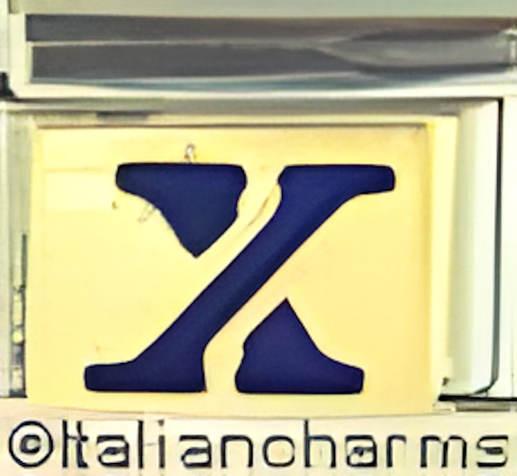 Blue Letter X