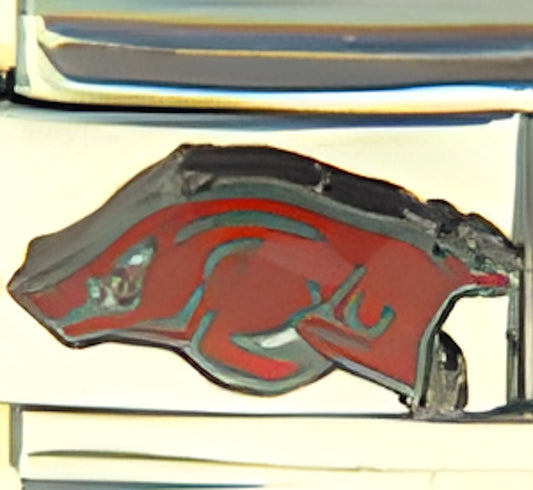 Arkansas Razorbacks