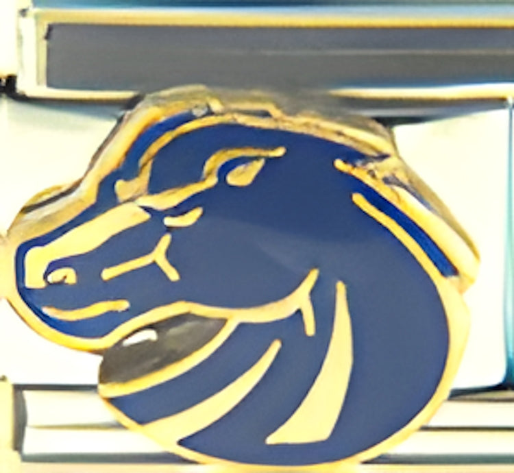 Boise State Broncos