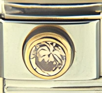Champagne CZ Stone