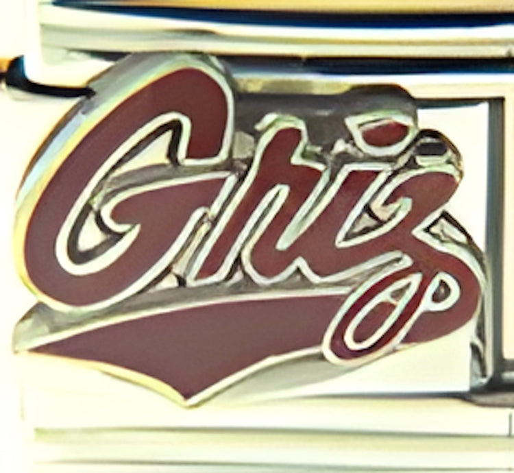 Montana Grizzlies