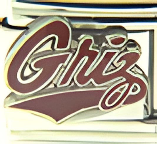 Montana Grizzlies