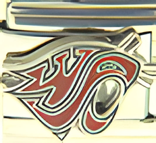 Washington State Cougars