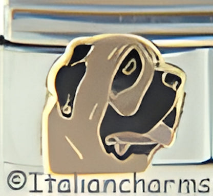 Bull Mastiff