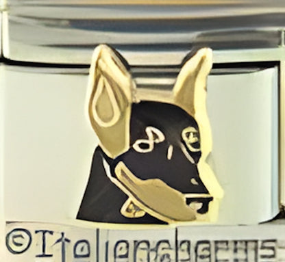 Pedigree Doberman Dog