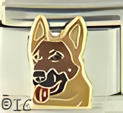 German Shepherd Dog