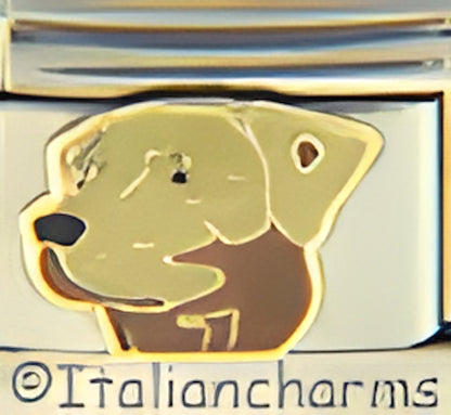 Pedigree Labrador Dog Tan Brown Labrador