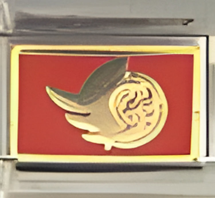 Licensed Hockey Ottawa Senators Gold on Red