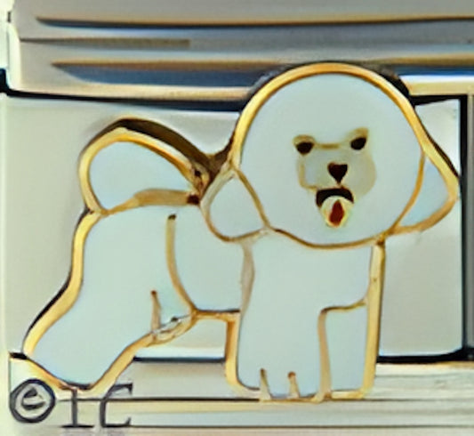 Bichon Frise Breed