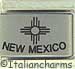 FINAL SALE Laser New Mexico Text