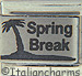 FINAL SALE Laser Spring Break