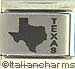 FINAL SALE Laser Texas and Outline